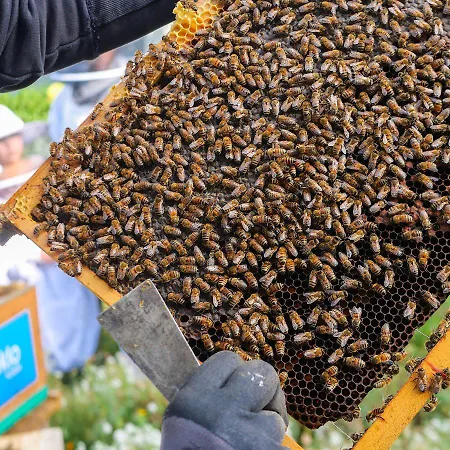 酒店 里尔艾克罗酒店