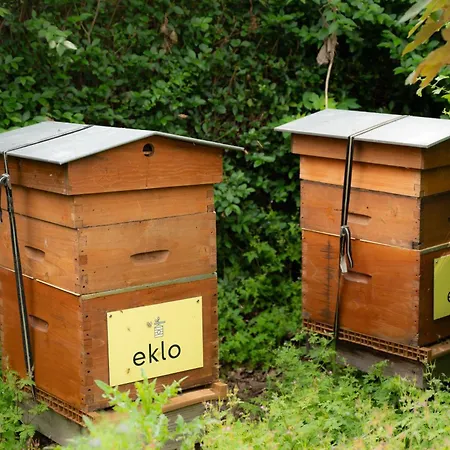 Szálloda Eklo 2*