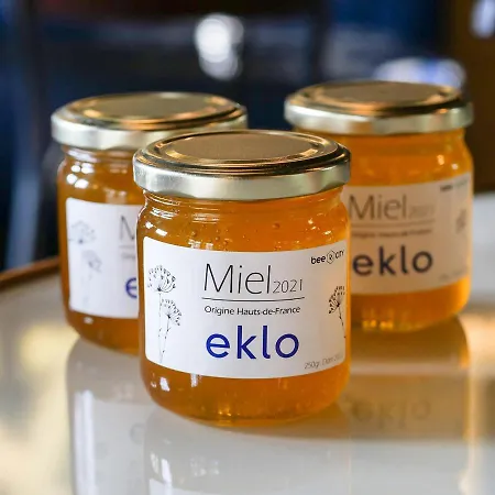 Eklo 2*
